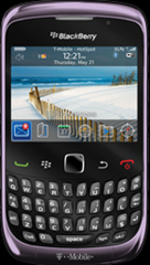 BlackBerry Curve 3G Violet