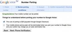 Google Voice Testing Inbound Number Porting